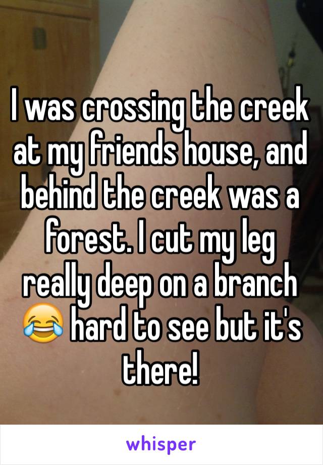 I was crossing the creek at my friends house, and behind the creek was a forest. I cut my leg really deep on a branch 😂 hard to see but it's there!