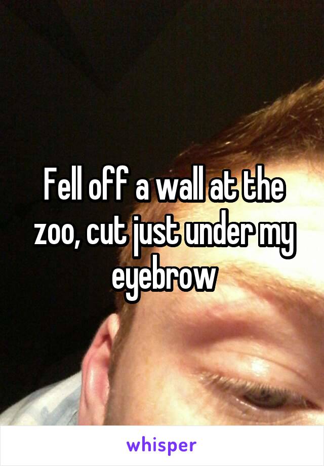 Fell off a wall at the zoo, cut just under my eyebrow