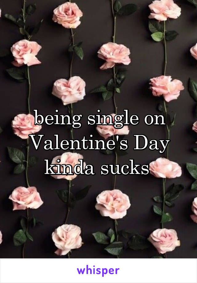 being single on Valentine's Day kinda sucks 