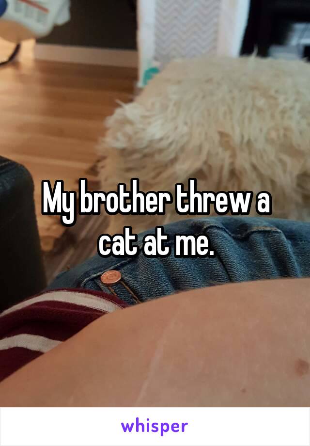 My brother threw a cat at me.