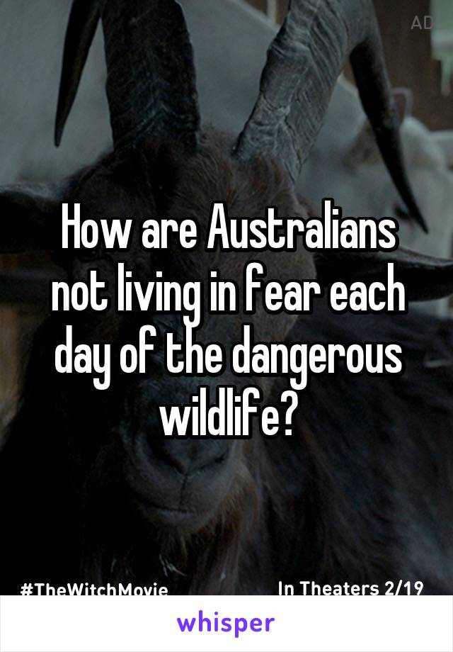 How are Australians not living in fear each day of the dangerous wildlife?