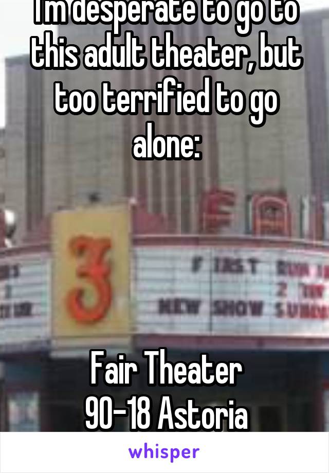 I'm desperate to go to this adult theater, but too terrified to go alone:




Fair Theater
90-18 Astoria Boulevard