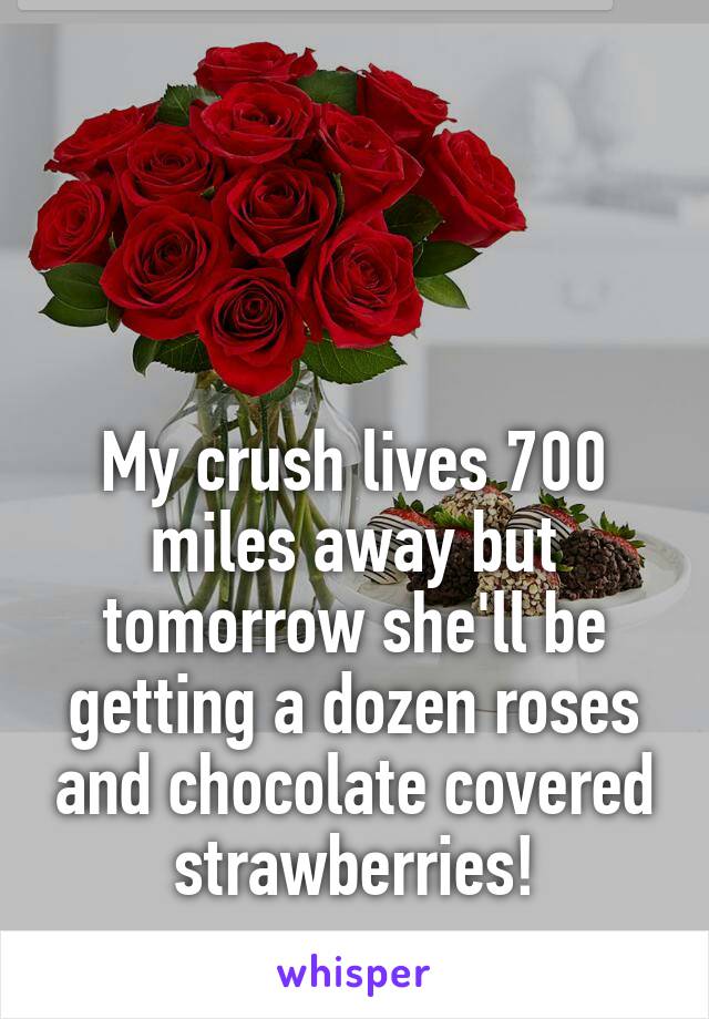 



My crush lives 700 miles away but tomorrow she'll be getting a dozen roses and chocolate covered strawberries!