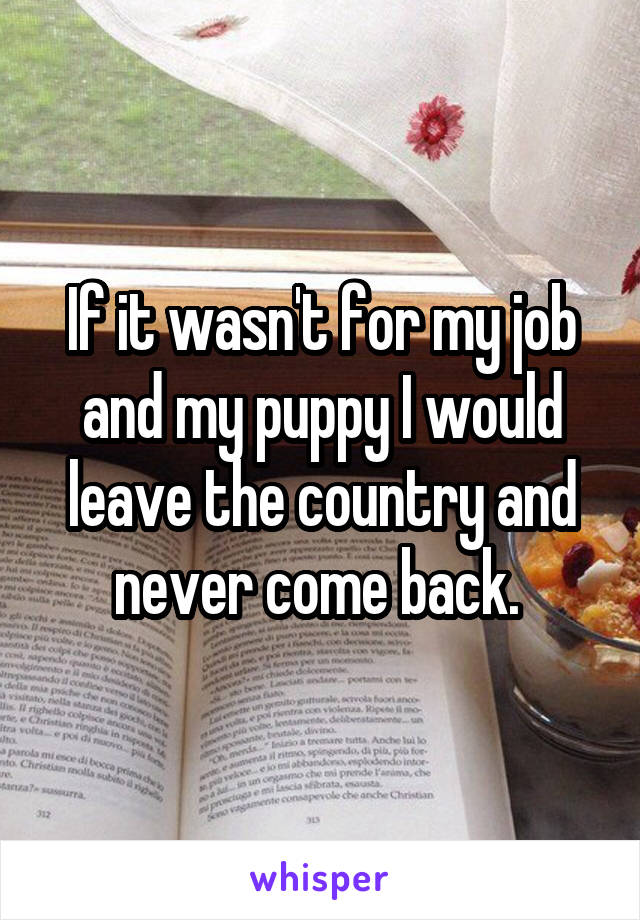 If it wasn't for my job and my puppy I would leave the country and never come back. 