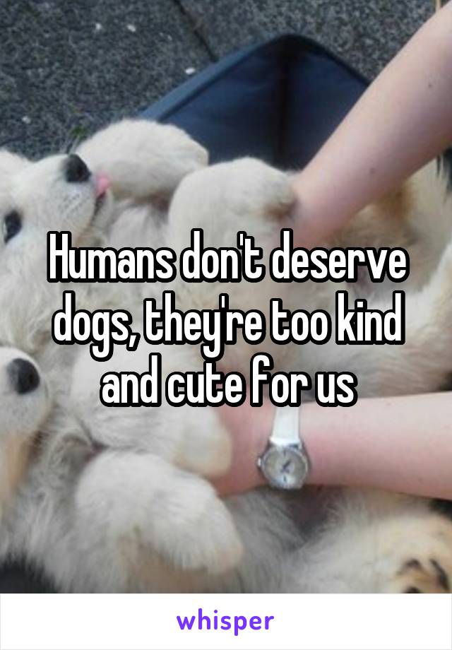 Humans don't deserve dogs, they're too kind and cute for us