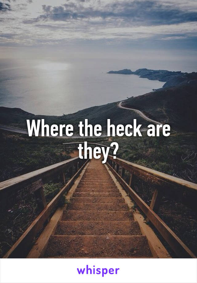Where the heck are they?
