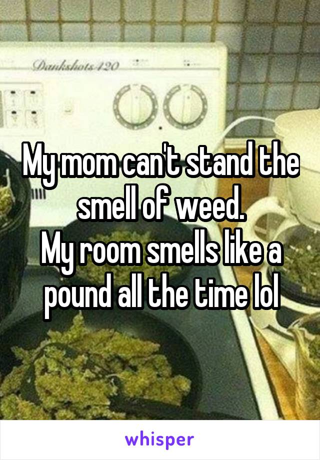 My mom can't stand the smell of weed.
My room smells like a pound all the time lol