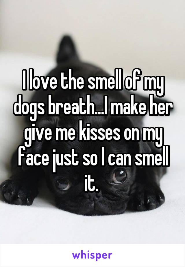 I love the smell of my dogs breath...I make her give me kisses on my face just so I can smell it. 