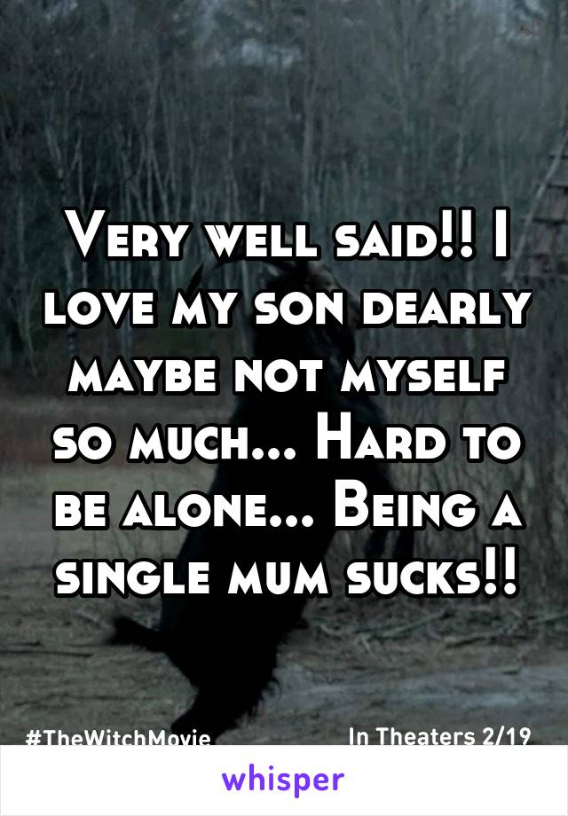 Very well said!! I love my son dearly maybe not myself so much... Hard to be alone... Being a single mum sucks!!