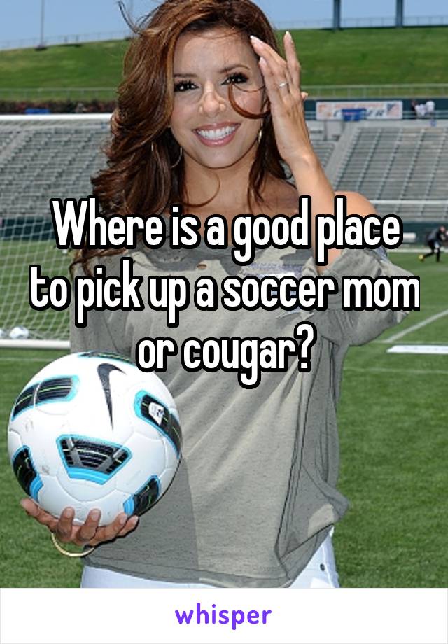 Where is a good place to pick up a soccer mom or cougar?
