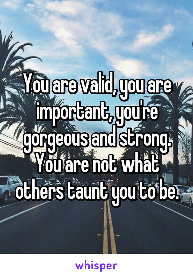 You are valid, you are important, you're gorgeous and strong. You are not what others taunt you to be.