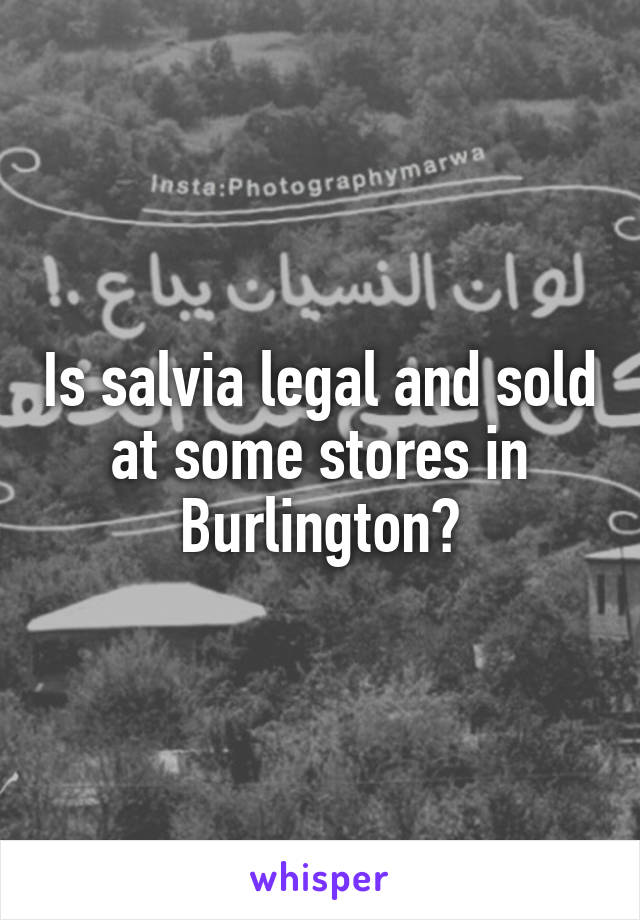 Is salvia legal and sold at some stores in Burlington?