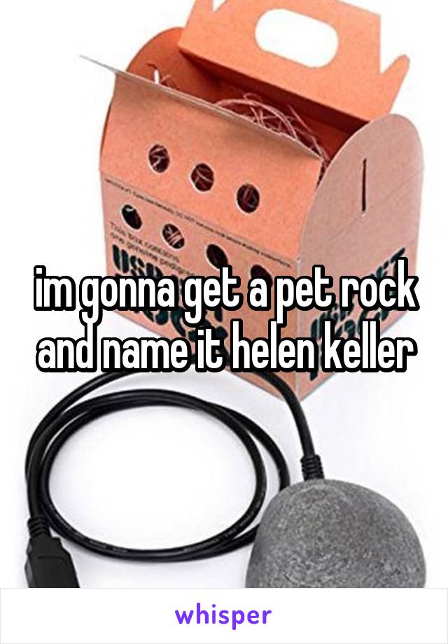 im gonna get a pet rock and name it helen keller