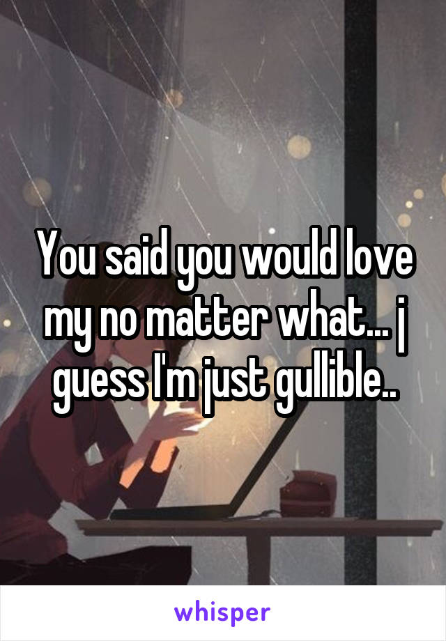 You said you would love my no matter what... j guess I'm just gullible..