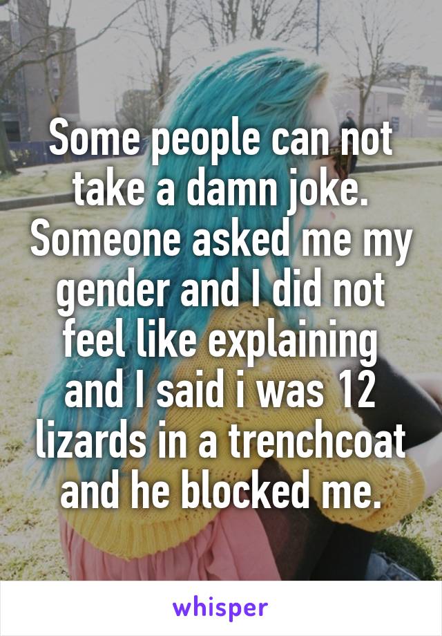 Some people can not take a damn joke. Someone asked me my gender and I did not feel like explaining and I said i was 12 lizards in a trenchcoat and he blocked me.