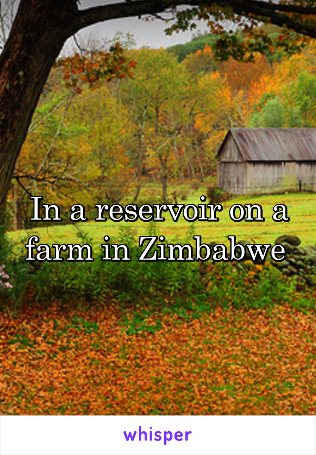In a reservoir on a farm in Zimbabwe 