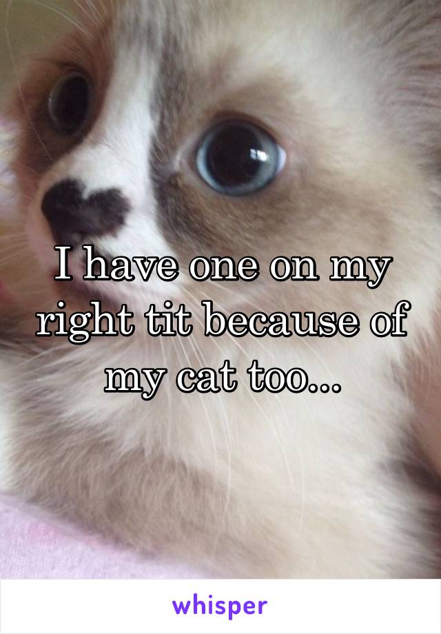 I have one on my right tit because of my cat too...