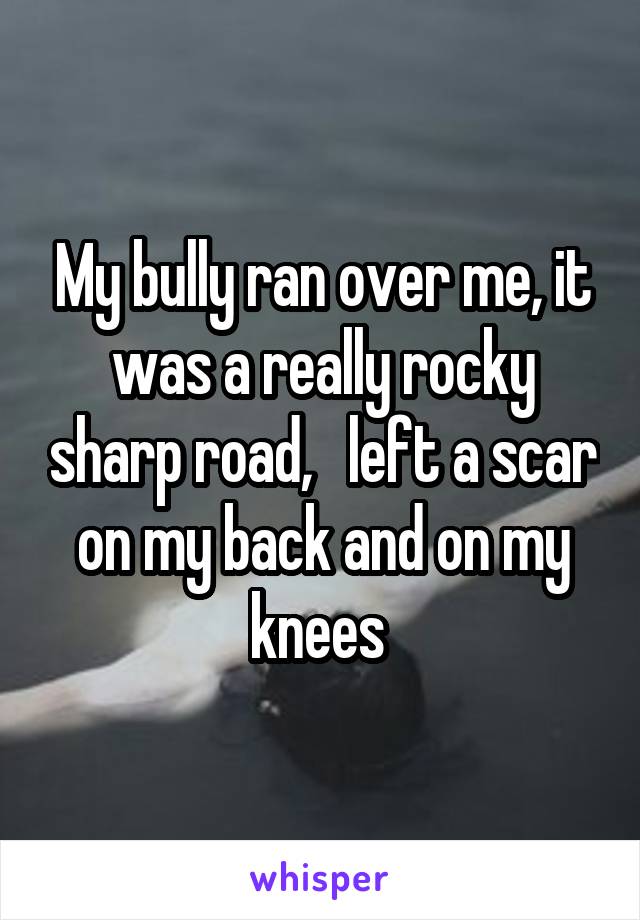 My bully ran over me, it was a really rocky sharp road,   left a scar on my back and on my knees 