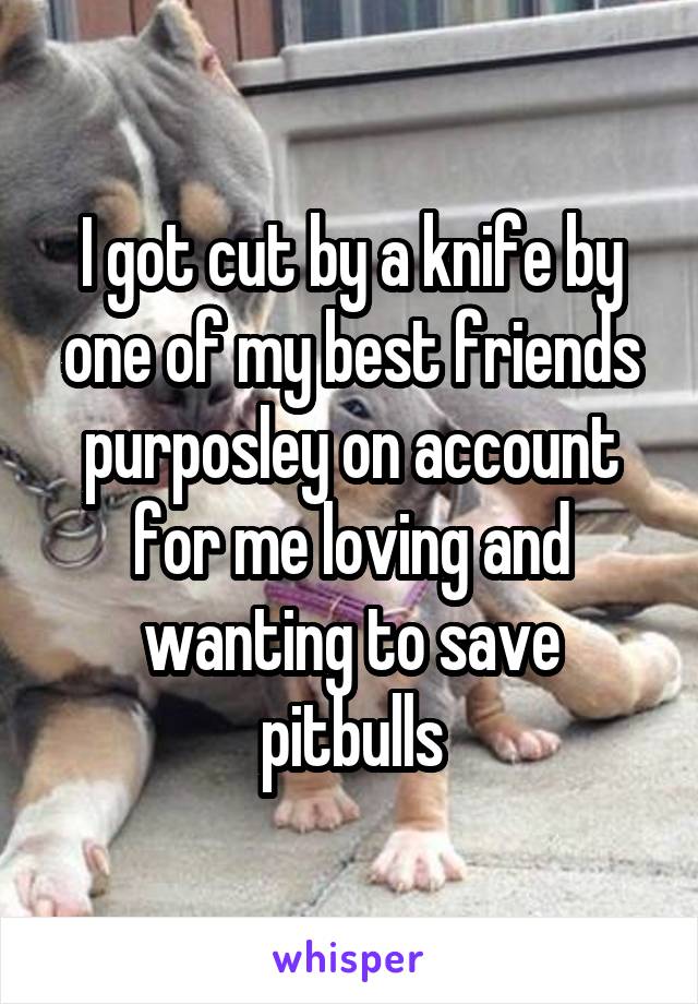 I got cut by a knife by one of my best friends purposley on account for me loving and wanting to save pitbulls