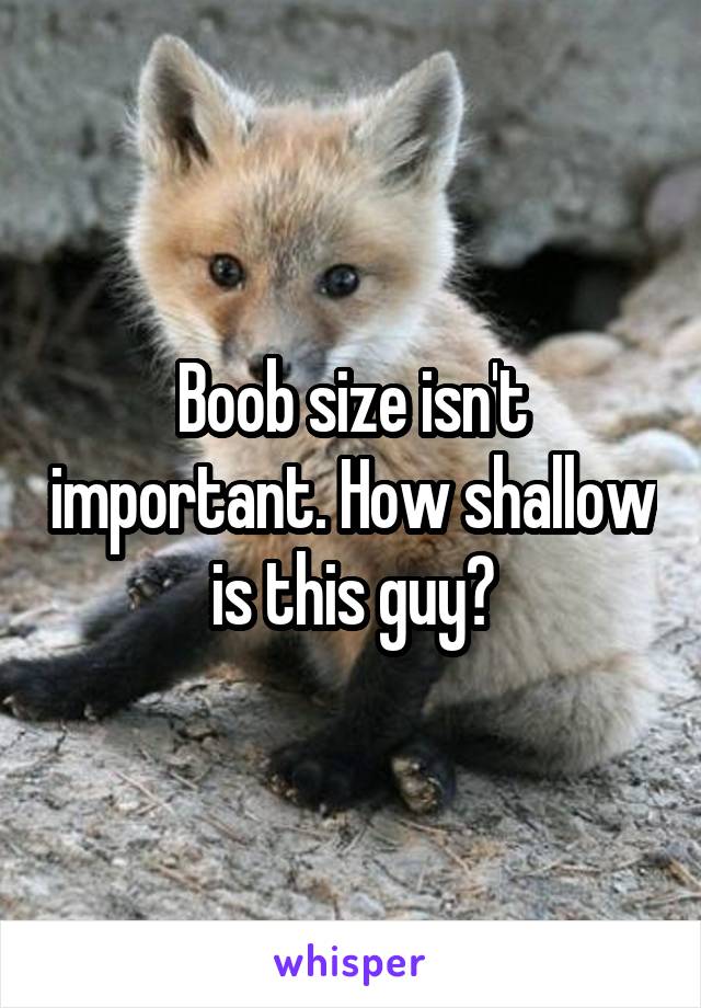 Boob size isn't important. How shallow is this guy?