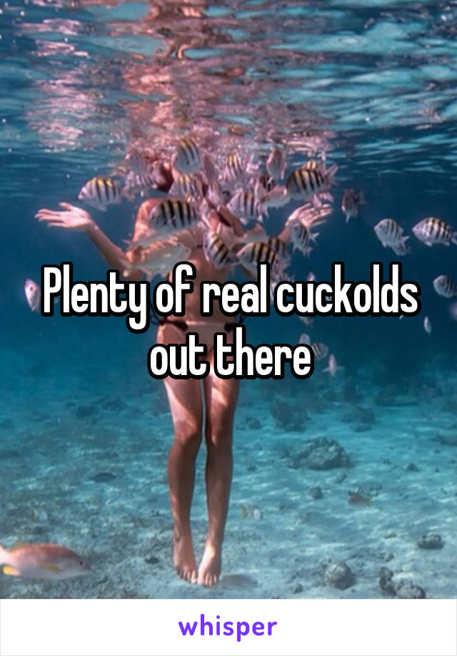 Plenty of real cuckolds out there