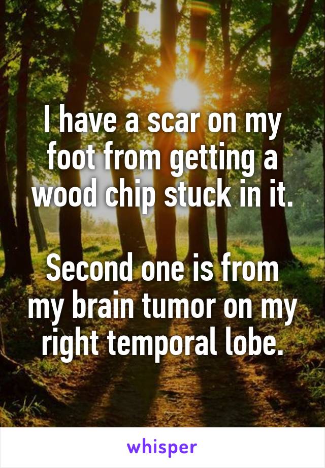 I have a scar on my foot from getting a wood chip stuck in it.

Second one is from my brain tumor on my right temporal lobe.