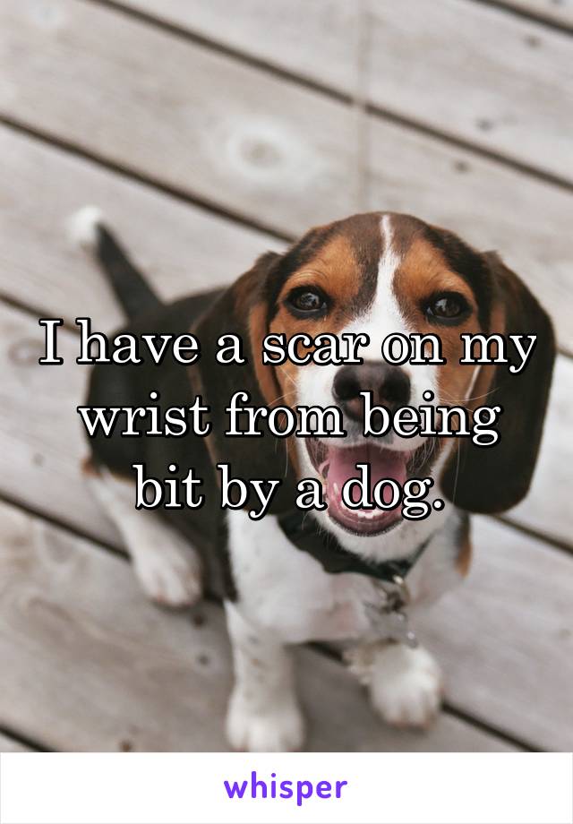 I have a scar on my wrist from being bit by a dog.