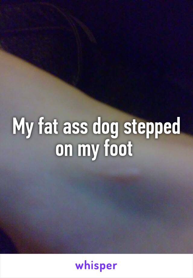 My fat ass dog stepped on my foot 