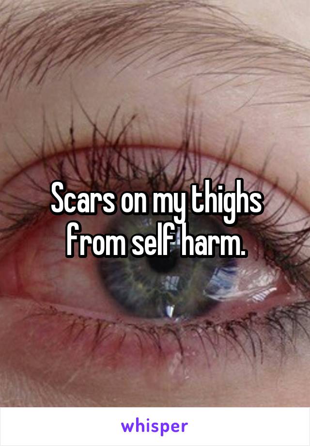 Scars on my thighs from self harm.