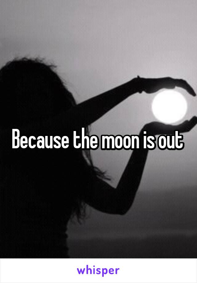 Because the moon is out 
