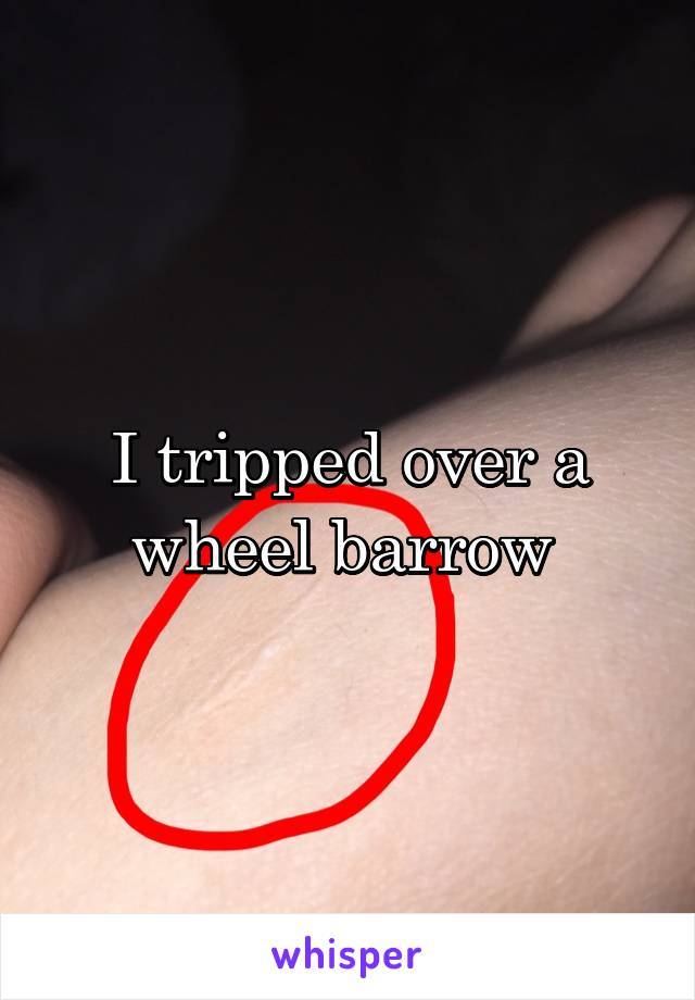 I tripped over a wheel barrow 