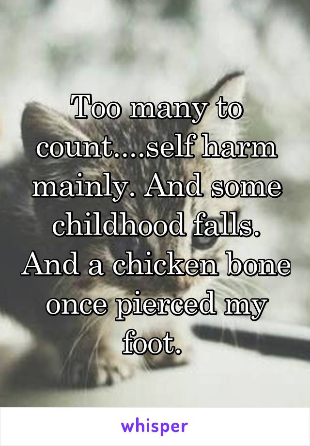 Too many to count....self harm mainly. And some childhood falls. And a chicken bone once pierced my foot. 