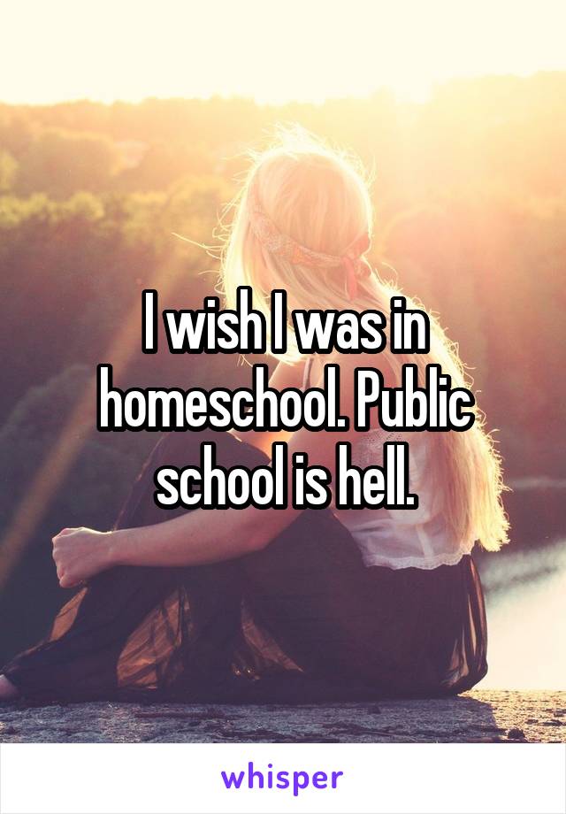 I wish I was in homeschool. Public school is hell.