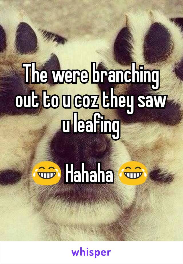 

The were branching out to u coz they saw u leafing

😂 Hahaha 😂 