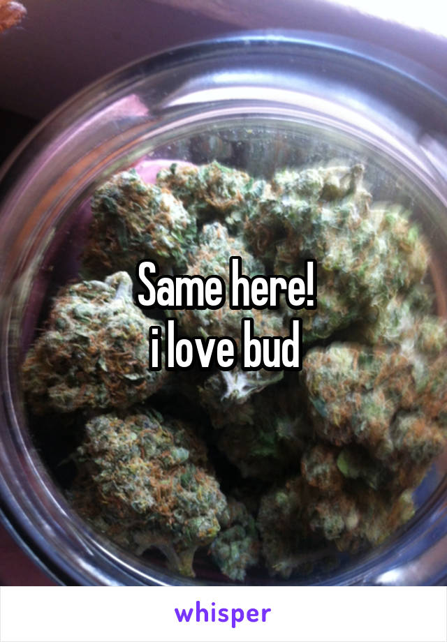 Same here!
i love bud