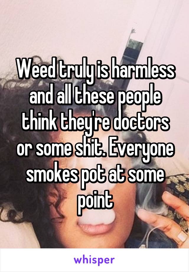 Weed truly is harmless and all these people think they're doctors or some shit. Everyone smokes pot at some point