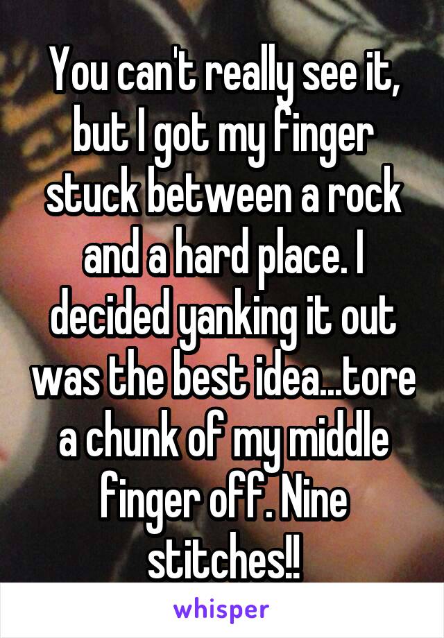 You can't really see it, but I got my finger stuck between a rock and a hard place. I decided yanking it out was the best idea...tore a chunk of my middle finger off. Nine stitches!!