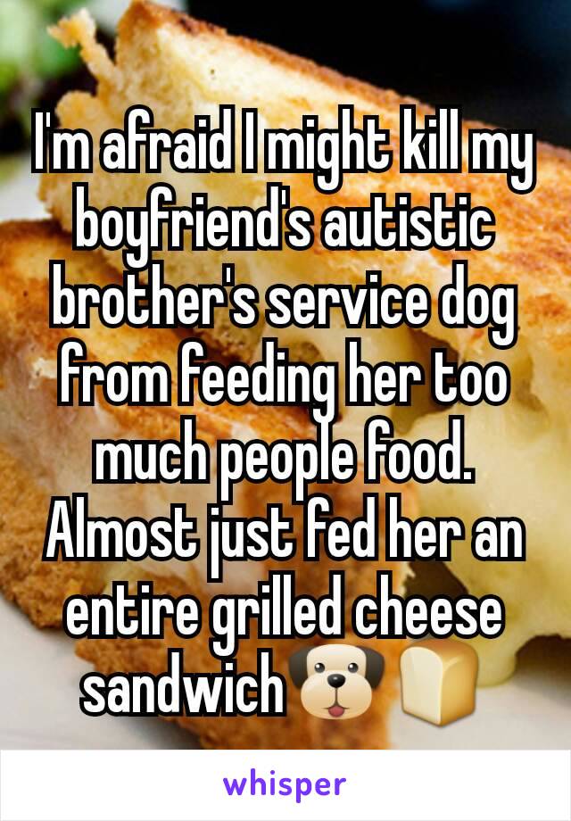 I'm afraid I might kill my boyfriend's autistic brother's service dog from feeding her too much people food.
Almost just fed her an entire grilled cheese sandwich🐶🍞
