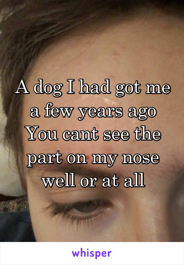 A dog I had got me a few years ago You cant see the part on my nose well or at all