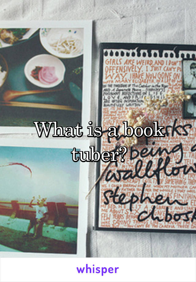 What is a book tuber?
