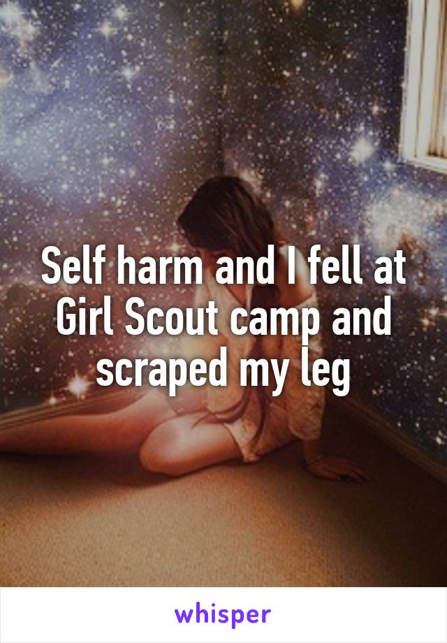 Self harm and I fell at Girl Scout camp and scraped my leg