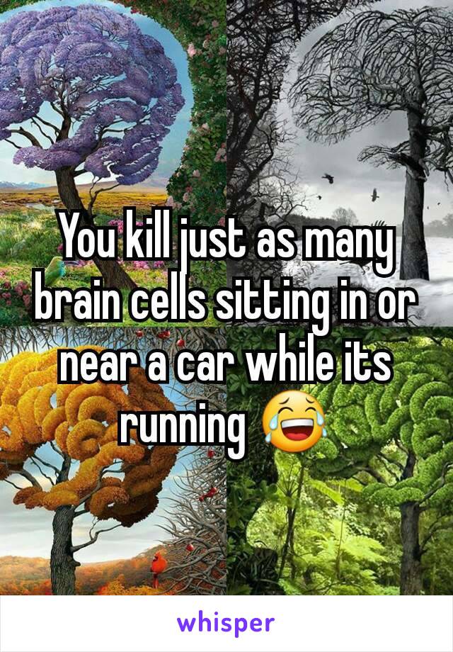 You kill just as many brain cells sitting in or near a car while its running 😂