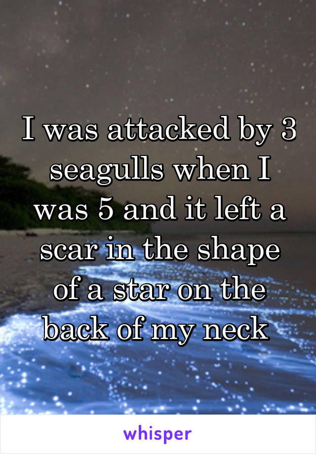 I was attacked by 3 seagulls when I was 5 and it left a scar in the shape of a star on the back of my neck 