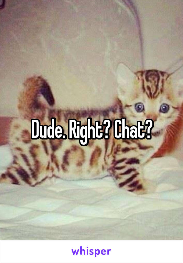 Dude. Right? Chat?