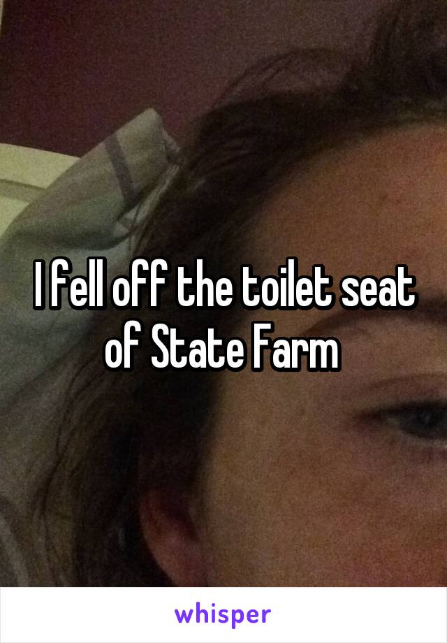 I fell off the toilet seat of State Farm 