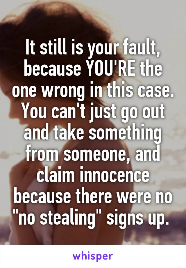 It still is your fault, because YOU'RE the one wrong in this case. You can't just go out and take something from someone, and claim innocence because there were no "no stealing" signs up. 