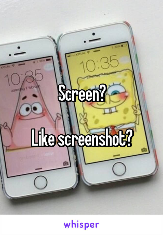 Screen?

Like screenshot?