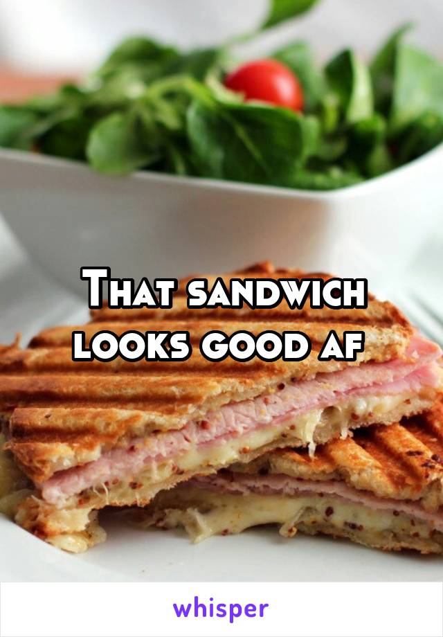 That sandwich looks good af 