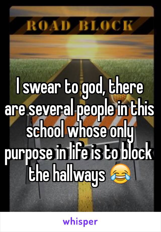 I swear to god, there are several people in this school whose only purpose in life is to block the hallways 😂