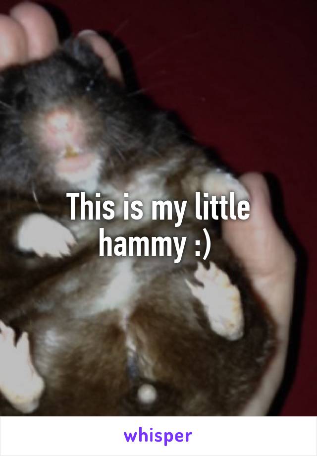 This is my little hammy :) 